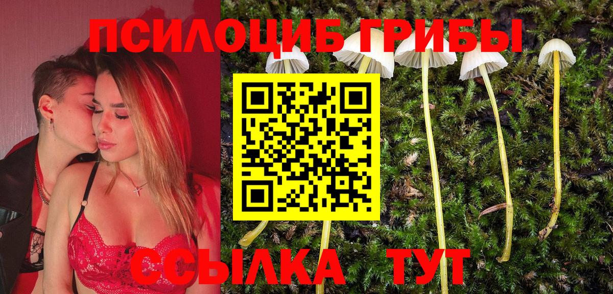 Псилоцибиновые грибы мицелий  Вход с VPN  Слободской 