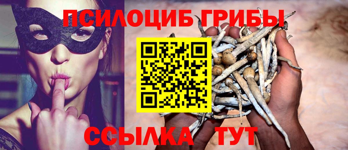 Галлюциногенные грибы прущие грибы Слободской